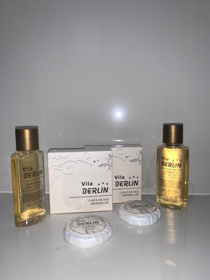 Hotel Vila Berlin Poiana Brașov Zewnętrze zdjęcie