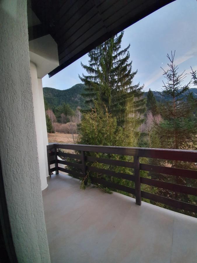 Hotel Vila Berlin Poiana Brașov Zewnętrze zdjęcie