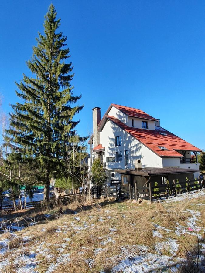Hotel Vila Berlin Poiana Brașov Zewnętrze zdjęcie