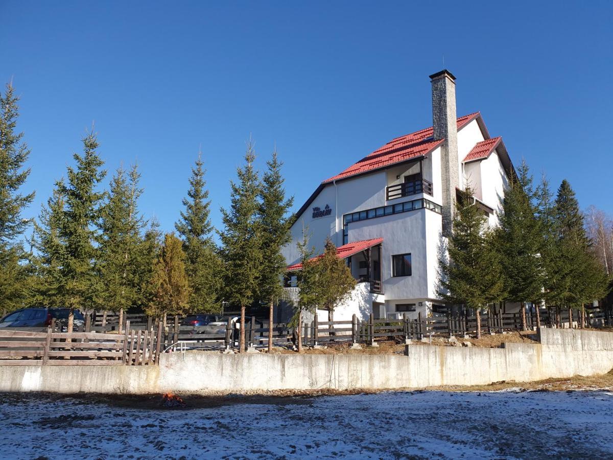 Hotel Vila Berlin Poiana Brașov Zewnętrze zdjęcie